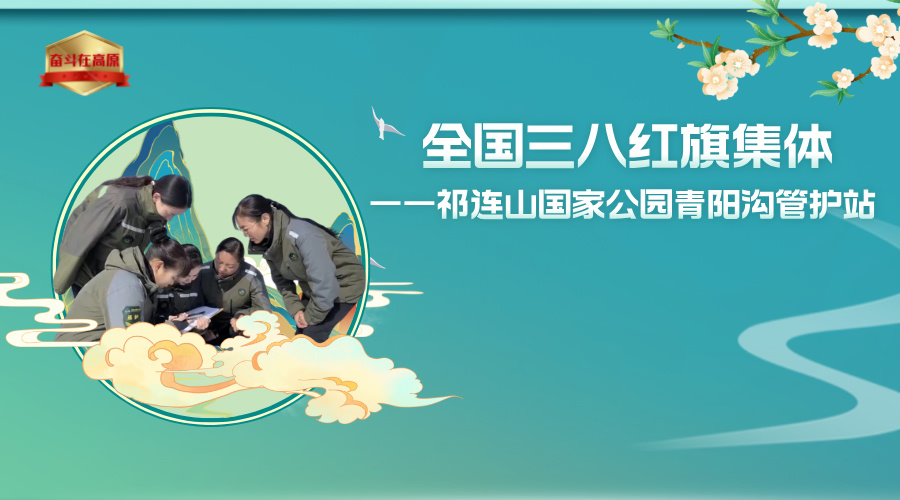 雨水24节气图文风横版海报__2025-04-16 16_49_42.jpg